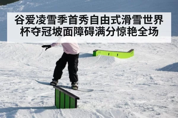 slope style skiing rails